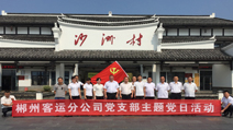 郴客：组织党员开展主题党日活动